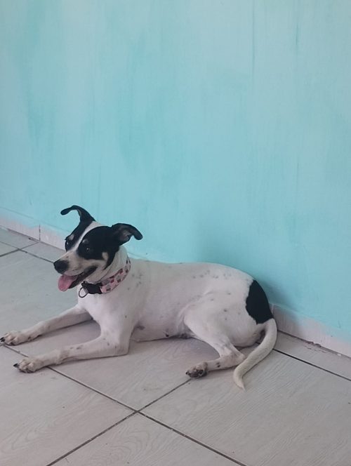 Não sei