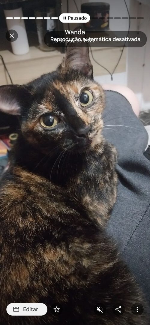 Wanda