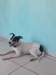 Não sei