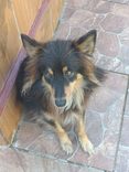 Boris