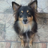 Boris