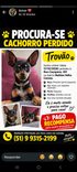 Trovão
