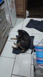 Princesa